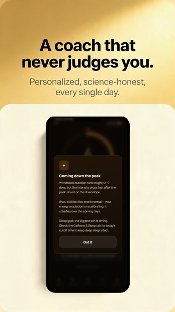 Caffeine Break Buddy screenshot — a daily brief that adapts to how you feel