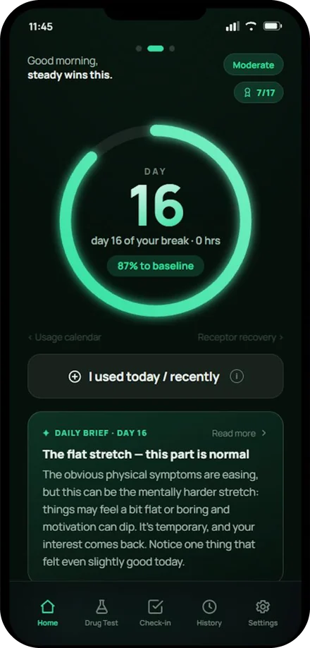 THC Break Buddy on day 16: a green ring reading 87% to baseline, and a daily brief titled The flat stretch, this part is normal